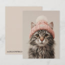 Search for kittens note cards Cat lover