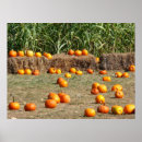 Search for stalks posters Fall