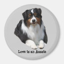 Search for aussie magnets Dogs