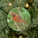 Search for female christmas tree decorations Cute