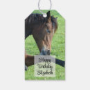Search for lover photography Equestrian