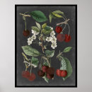 Search for orchards posters Botanical