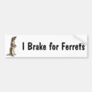 Search for ferret bumper stickers Pets