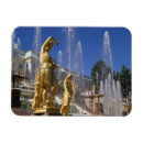 Search for peterhof magnets European
