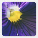 Search for macro stickers Nature