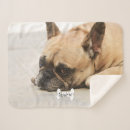 Search for cute french bulldog blankets Puppy