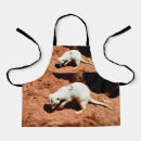 Search for dig aprons For kids