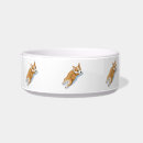Search for kitchen pet supplies Cute