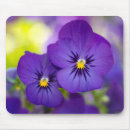 Search for garden violets mousepads Pansy