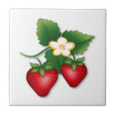 Search for strawberry kitchen decor Modern