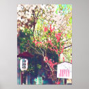 Search for japanese lantern art Sakura