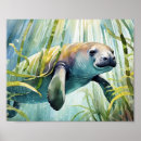 Search for manatee art Marine life