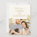 Search for kitten christmas cards Cat photo