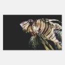 Search for striped fish stickers Lionfish