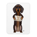 Search for dachshund magnets Animal lovers