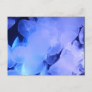 Search for deep sea fish postcards Water