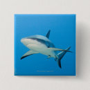 Search for sealife badges Animal