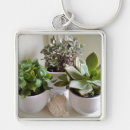 Search for succulent key rings Floral