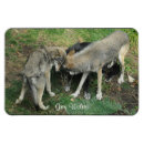 Search for alpha magnets Wolf