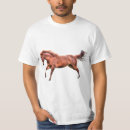 Search for dun horse tshirts Animal lovers