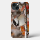 Search for chickadee electronics Winter