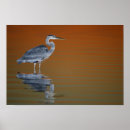 Search for st petersburg florida posters Sunset