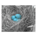 Search for robins egg blue art Nest