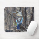Search for kookaburra mousepads Kingfisher