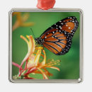 Search for selective focus christmas tree decorations Black