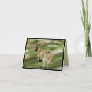 Search for wallabies cards Animal