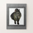Search for maine coon cat puzzles Kitty