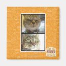 Search for thermometer magnets I can has cheezburger
