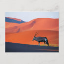 Search for namib postcards Landscape