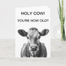 Search for holy cow birthday cards Farm