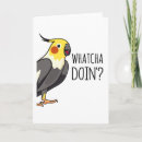 Search for bird watching cards Funny