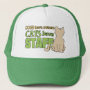Search for cat in hats Pets