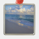 Search for coast christmas tree decorations Tropical