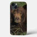 Search for bear cases Mammal