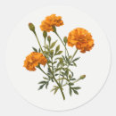 Search for yellow marigold stickers Flower