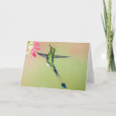 Search for ecuador cards Nature