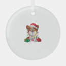 Search for papillon christmas tree decorations Animal