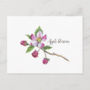 Search for apple blossoms postcards Bloom