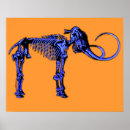 Search for dinosaur skeleton posters Paleontology