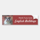 Search for bulldogs bumper stickers Puppies