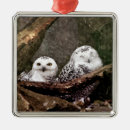 Search for owl decor christmas tree decorations Bird lover