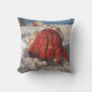 Search for hermit home living Ocean