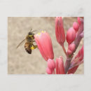 Search for busy postcards Bee