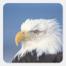 Search for bald eagle gift wrap Portrait
