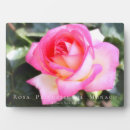 Search for princess plaques For her
