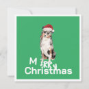 Search for australian shepherd christmas cards Cute